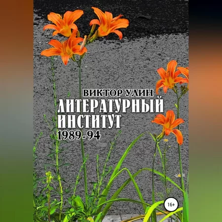 Литературный институт